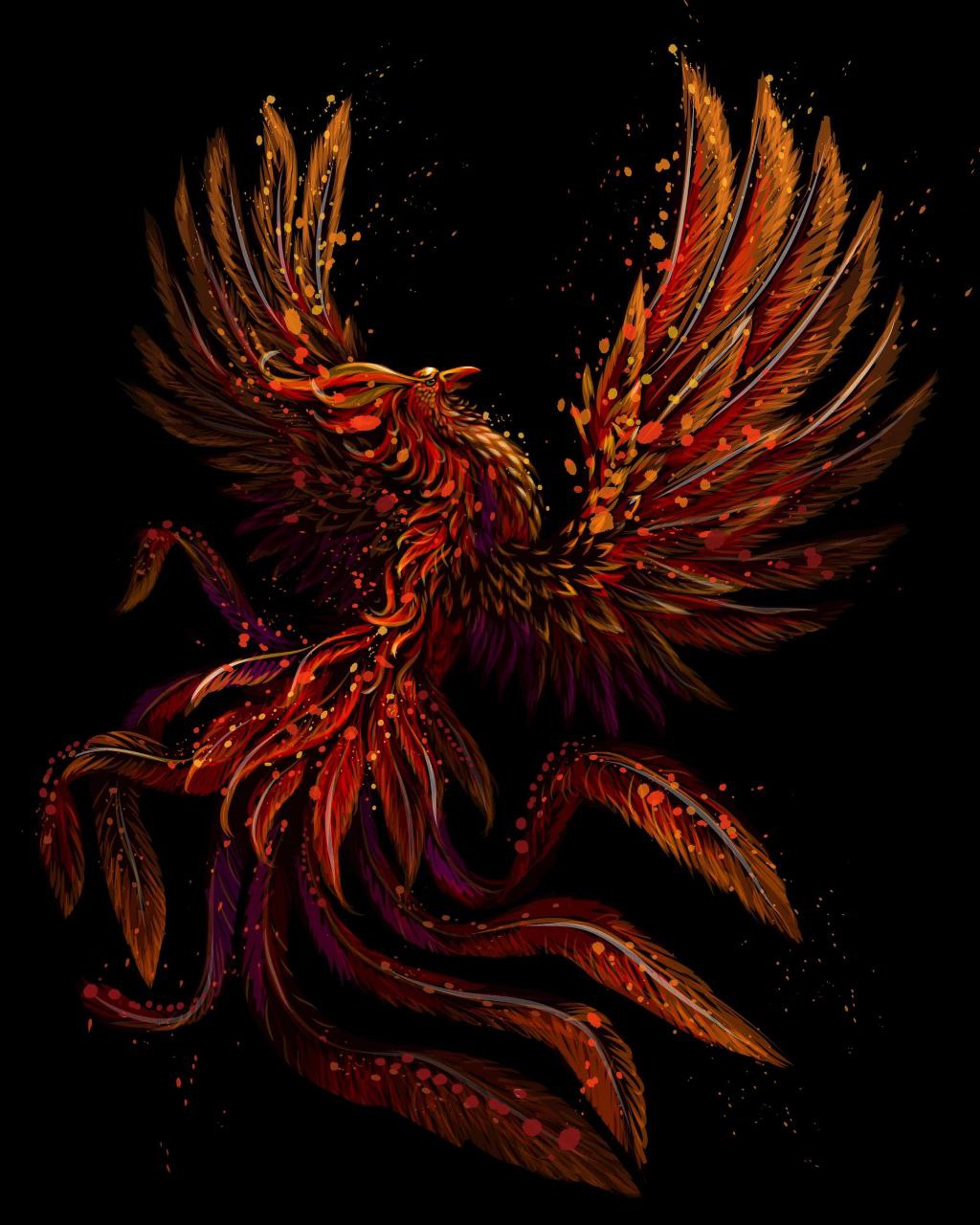 photo_2025-12-27 22.24.14