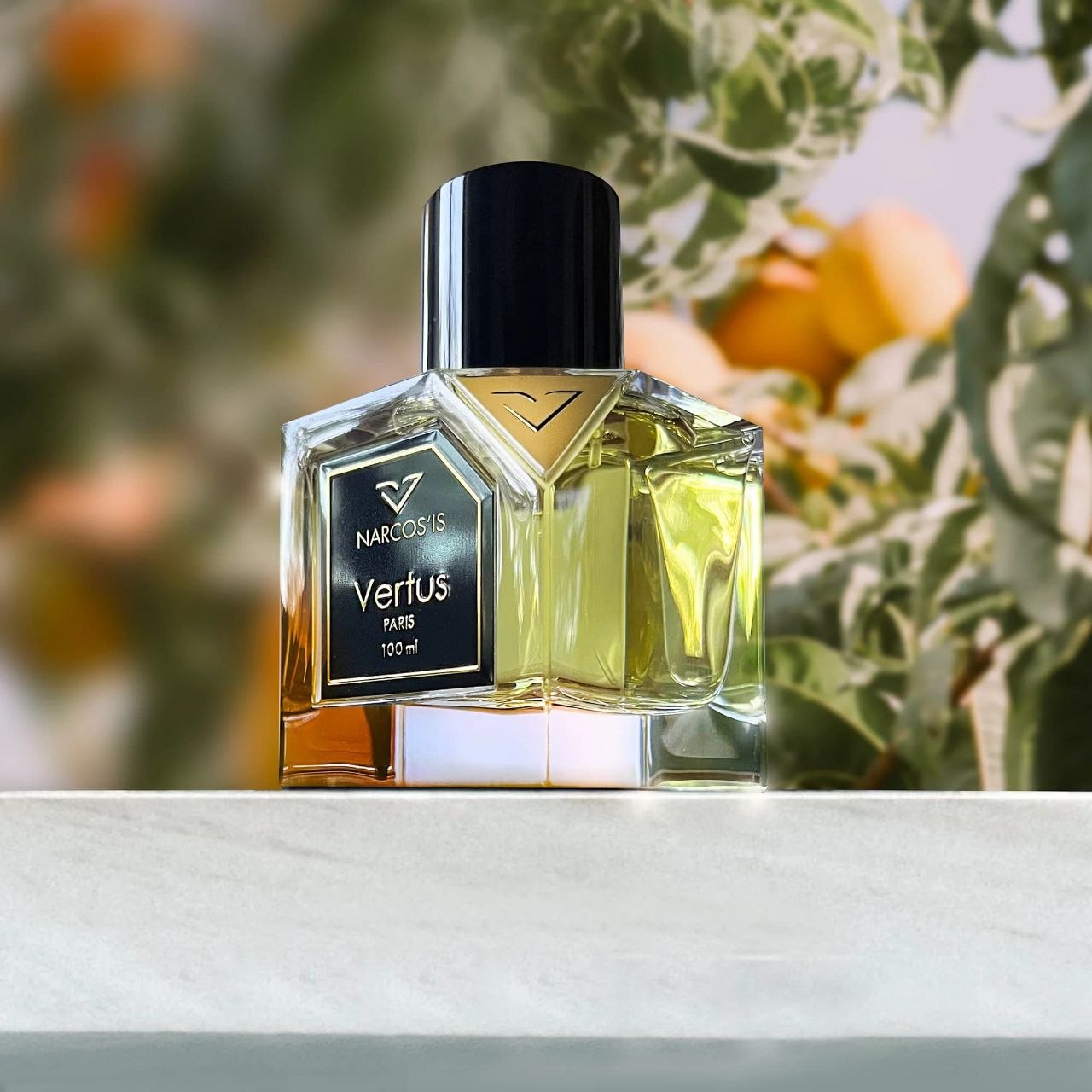 photo_2025-12-27 22.35.27