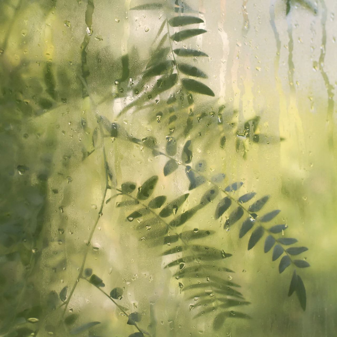 photo_2025-12-27 22.35.29