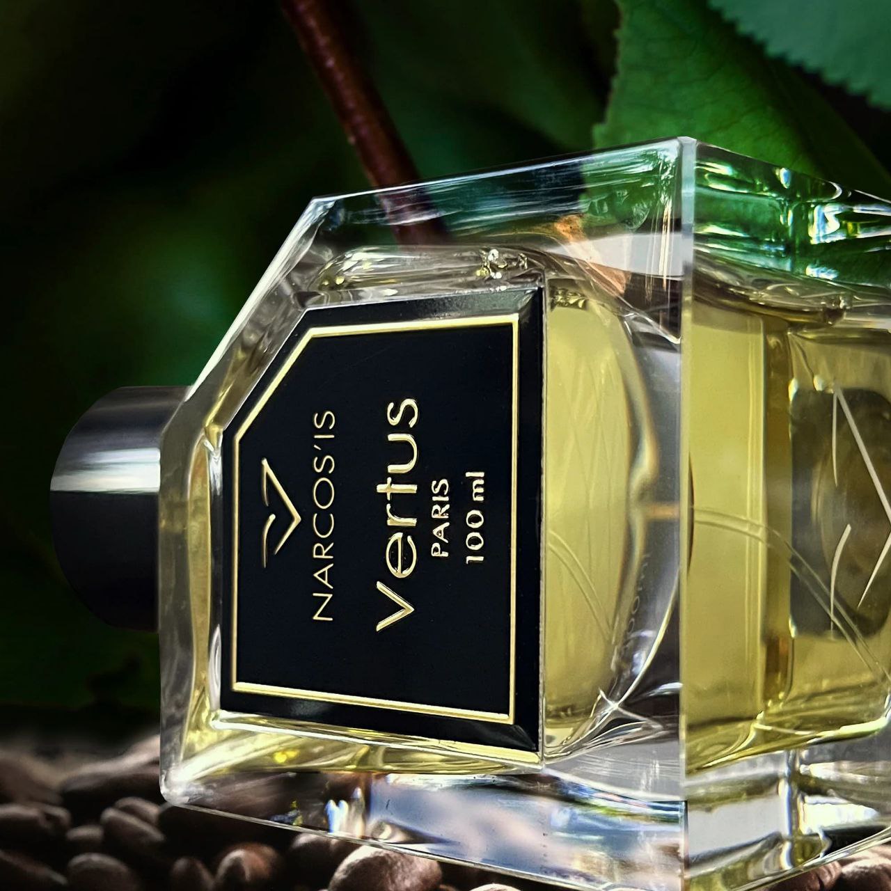 photo_2025-12-27 22.35.30