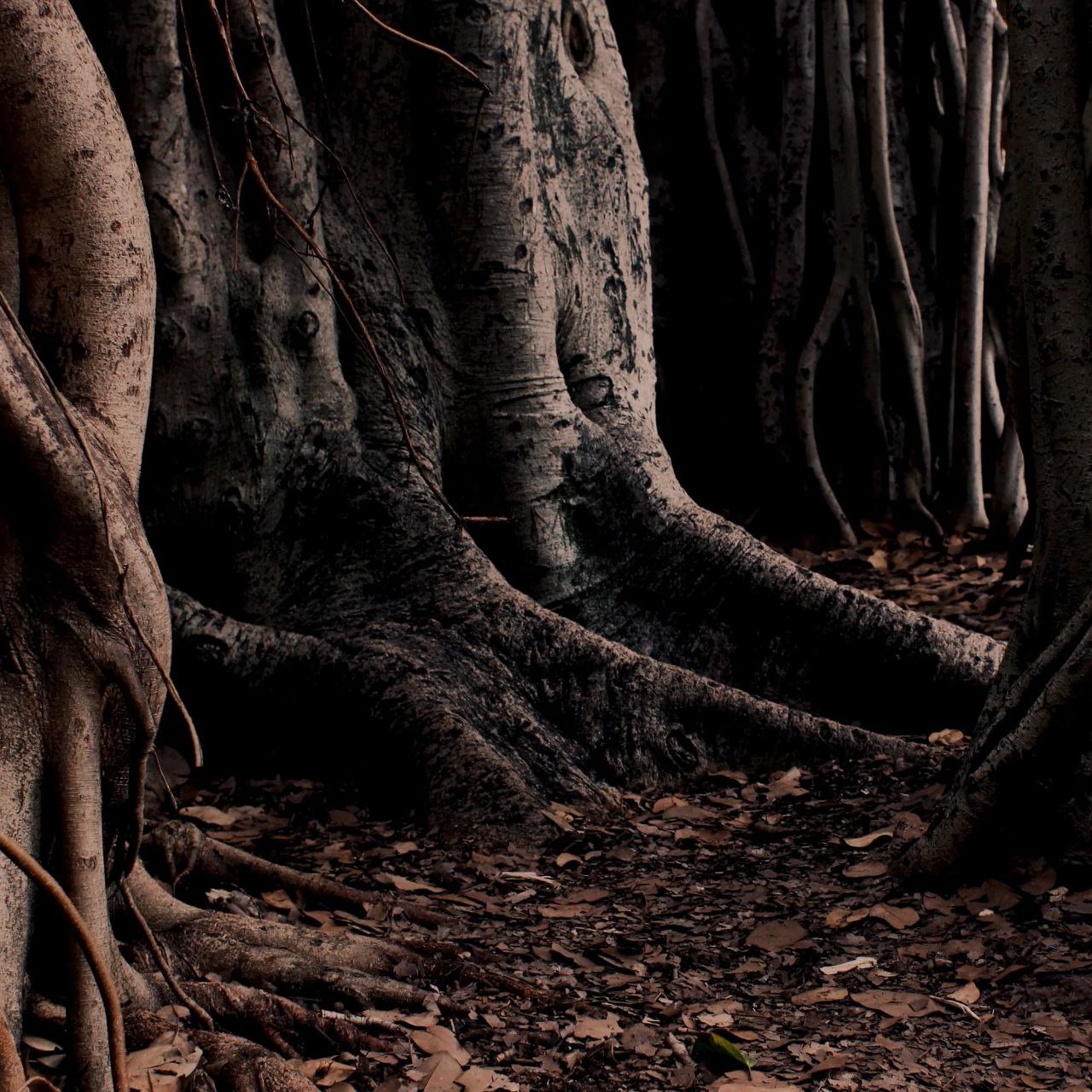 photo_2025-12-27 22.55.45