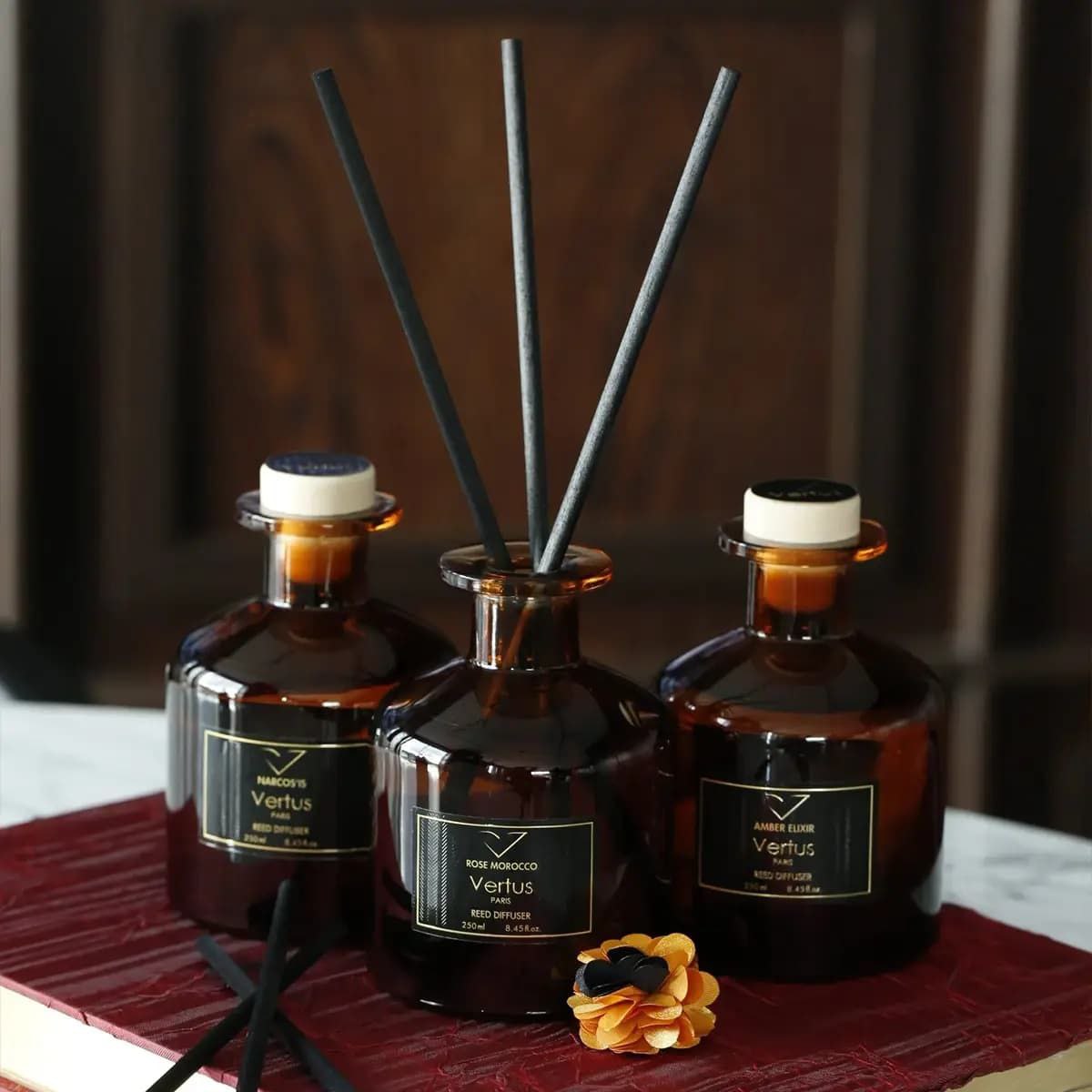 photo_2025-12-28 15.16.08