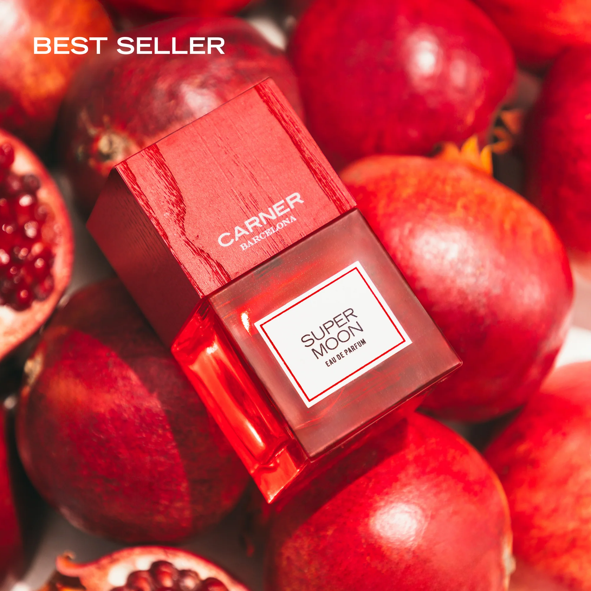 7_a16199d6-527b-41e2-87c2-96ba08b8469e